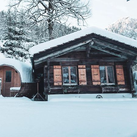 Chalet Wassermandli لينك المظهر الخارجي الصورة